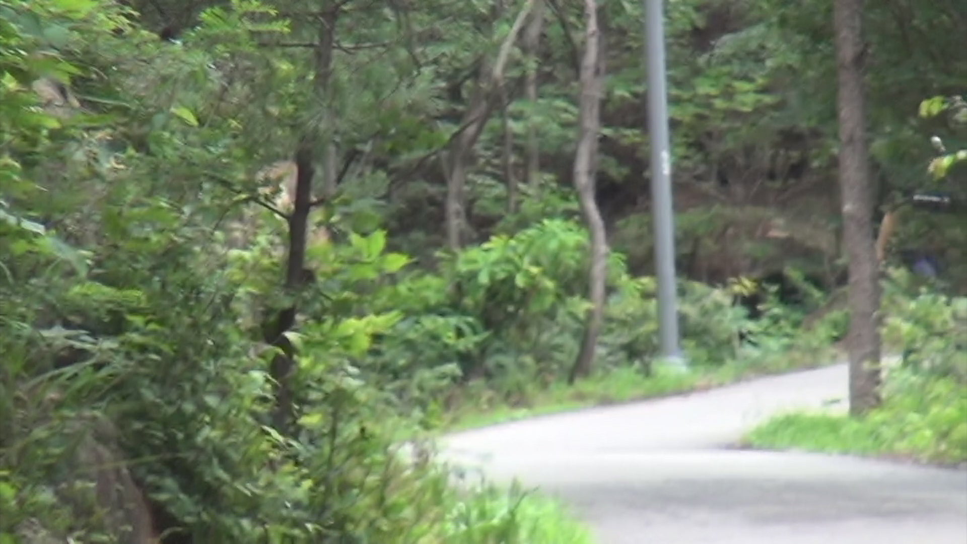 동영상 로드: 